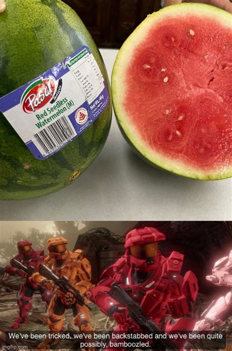 are seedless watermelons fake